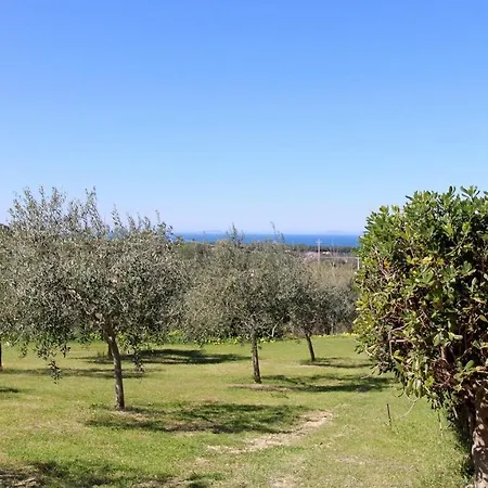 Welcomely - Bouganville - Asinara * Sorso