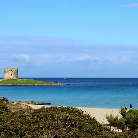 Welcomely - Bouganville - Asinara * Sorso